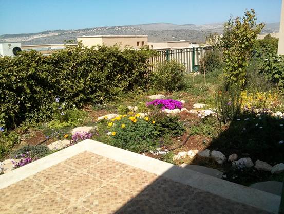 הנוף מהמשרד הביתי שלי